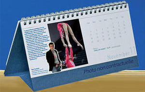 CALENDRIER 2013 FFGym