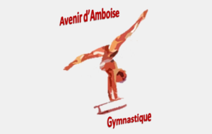 AVENIR D'AMBOISE GYMNASTIQUE