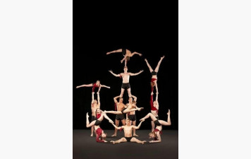 Stage de gym acrobatique
