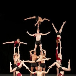 Stage de gym acrobatique